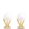Freshwater Pearl Studs, 14K Yellow Gold Hot