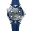 Omega Seamaster Diver 300M Steel Gray Dial Watch, 42mm