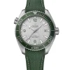 Omega Seamaster Planet Ocean 600M Gray Dial Watch, 43.5mm Sale