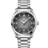 Omega Seamaster Railmaster Gray Dial Watch, 38mm Sale