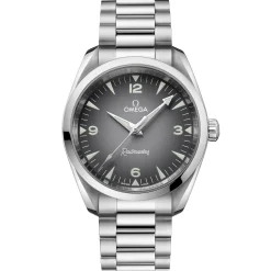Omega Seamaster Railmaster Gray Dial Watch, 38mm Sale