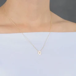 Paw Print Cut Out Mini Disc Necklace 14K New